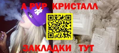 крисы Жуковский