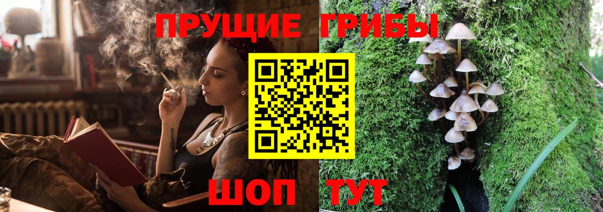 Галлюциногенные грибы Psilocybe Луга